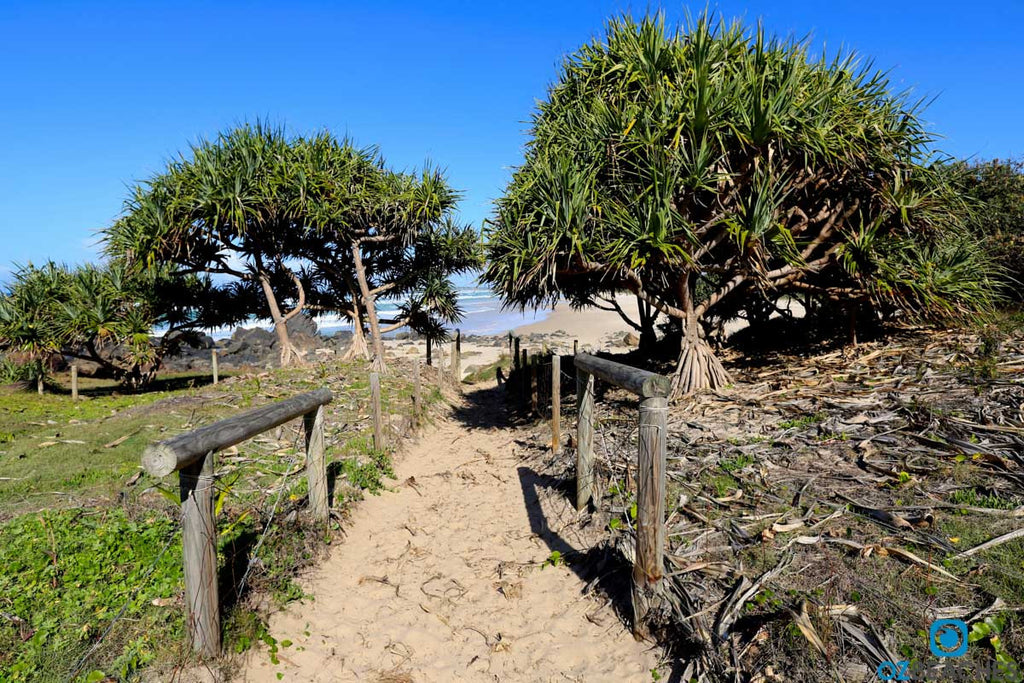 A picturesque, tropical entrance to Maggies Beach