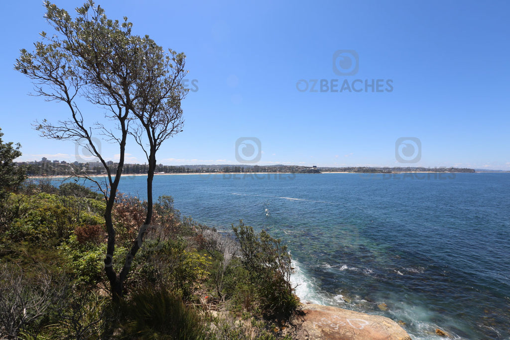Looking north from the headland at Shelly Beach