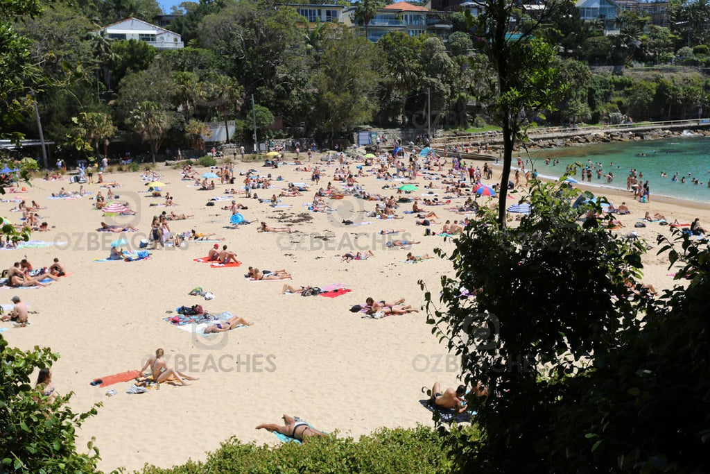 Shelly Beach is hugely popular on weekends