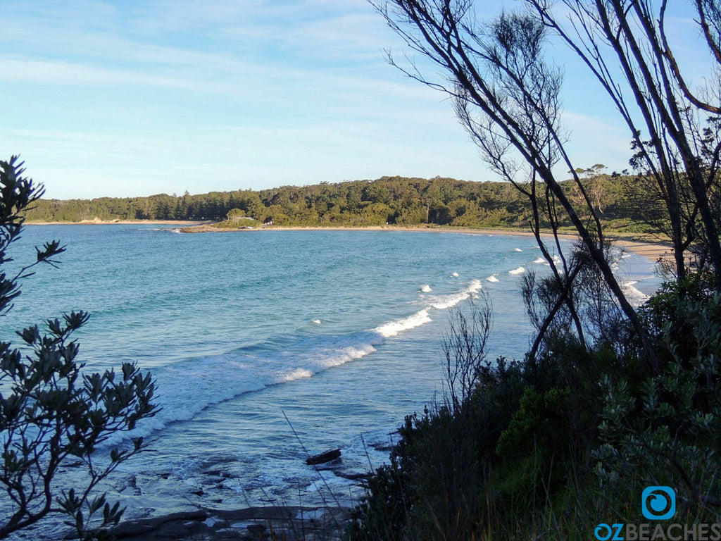 Looking over Myrtle Beach NSW from the northern headland