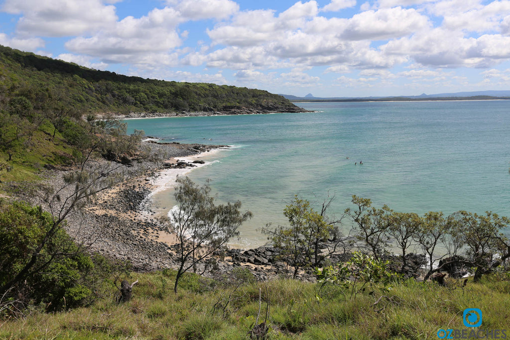 Noosa Heads National Park scenic coastal walk