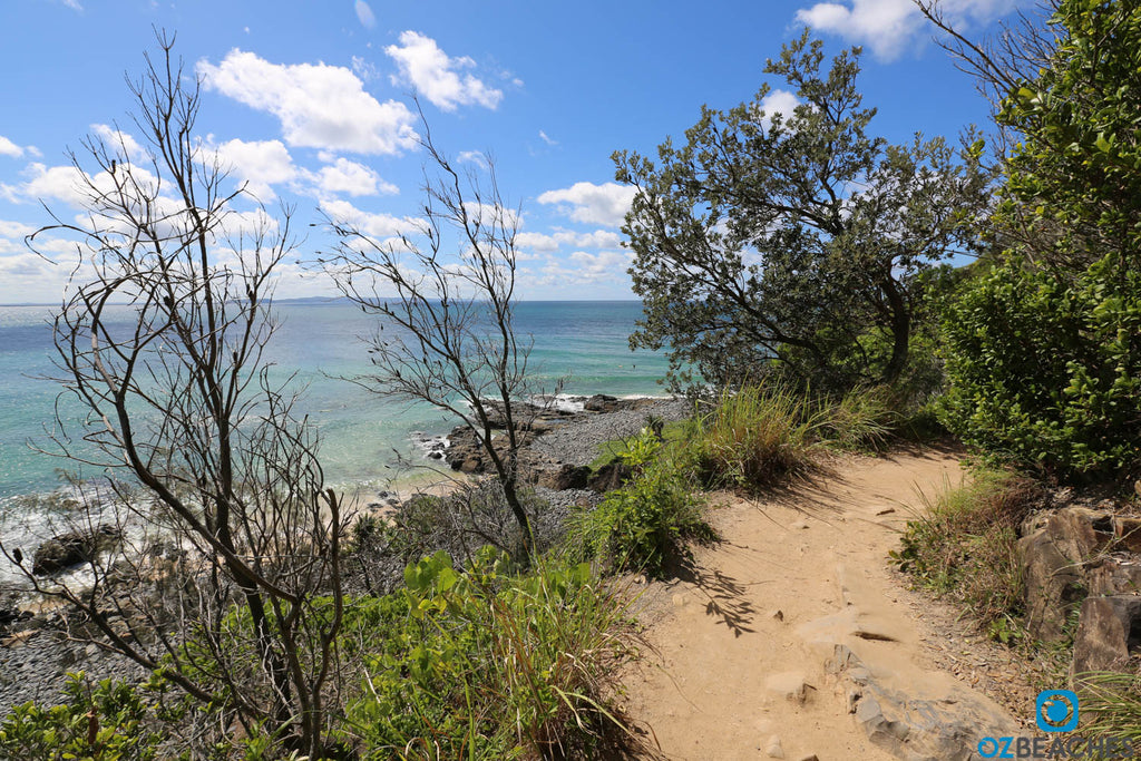 Noosa Heads National Park coastal walk