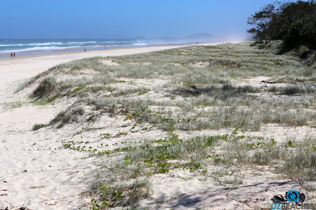 Sunny day at Salt Beach NSW