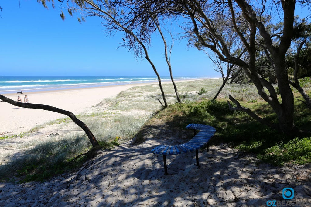 Beach seating at Salt Beach Northern Rivers NSW