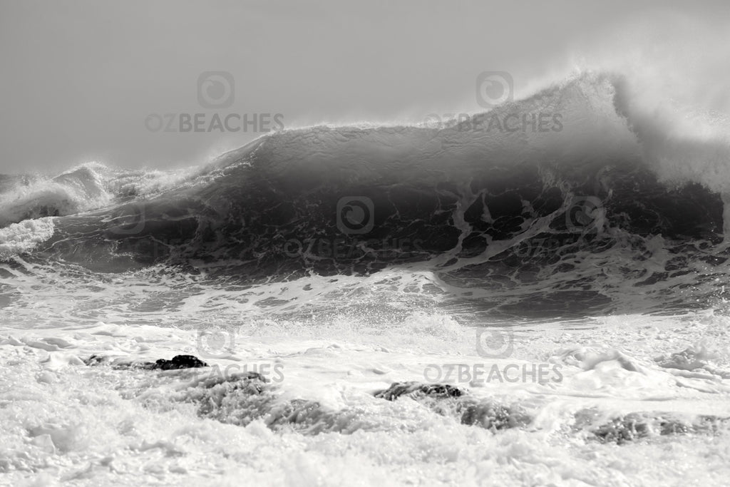 Snapper Rocks Cyclone Oma swell February 2019