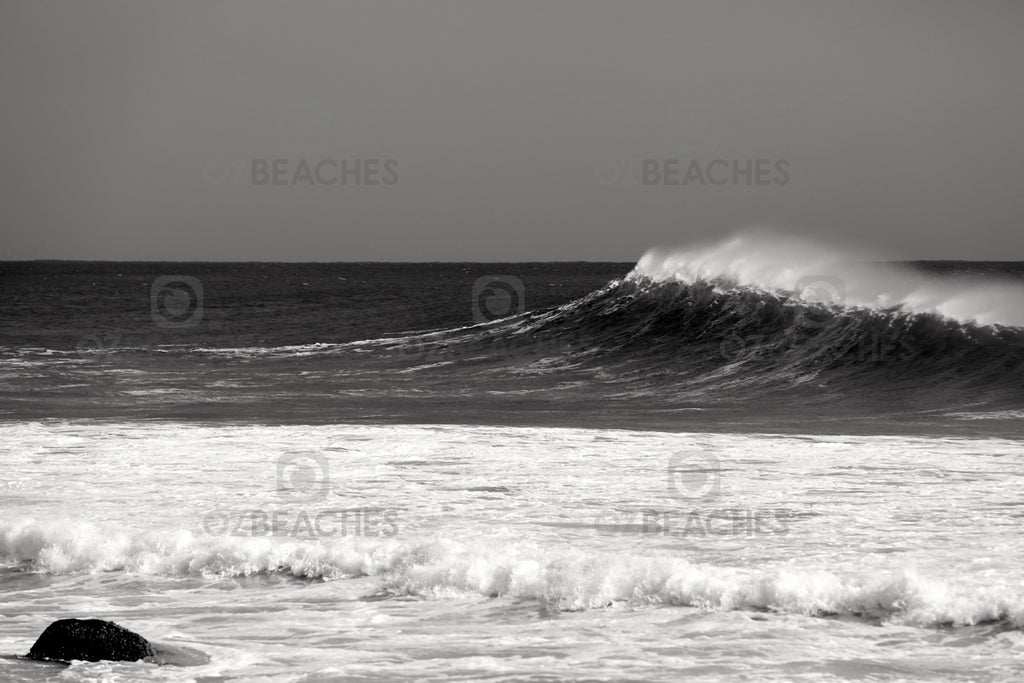 Snapper Rocks Cyclone Oma swell February 2019