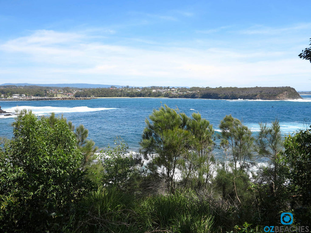 Warden Head looking north towards Ulladulla Harbour