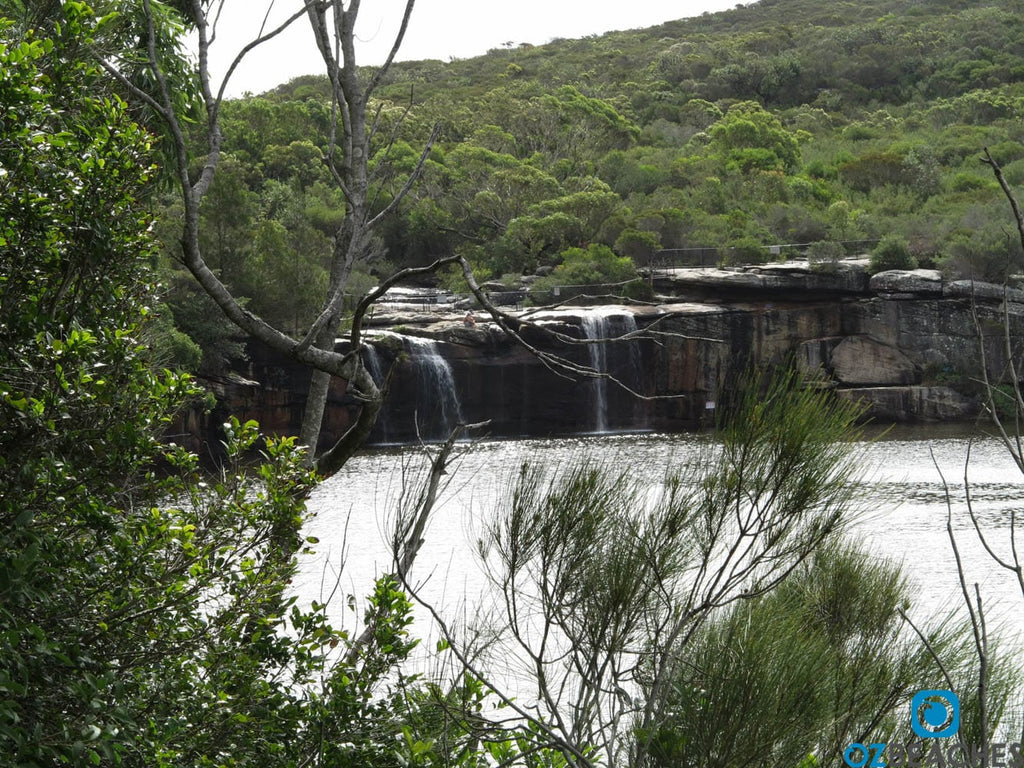 A popular rock jump at Wattamolla Beach