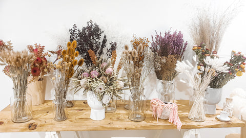 STEM & FLOWER BAR – Beach to Bloom