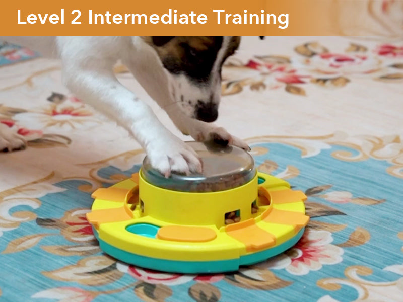 Level Up Your Pet's Playtime: 2-in-1 Puzzle Toy Slow Feeder Bowl For Dogs &  Cats! - Temu