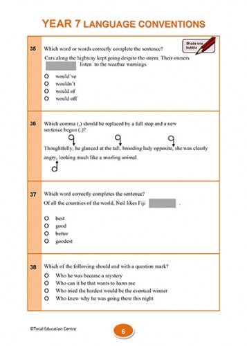 language conventions worksheets