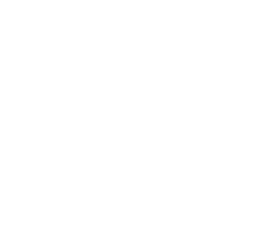 SS20 NEW HORIZONS