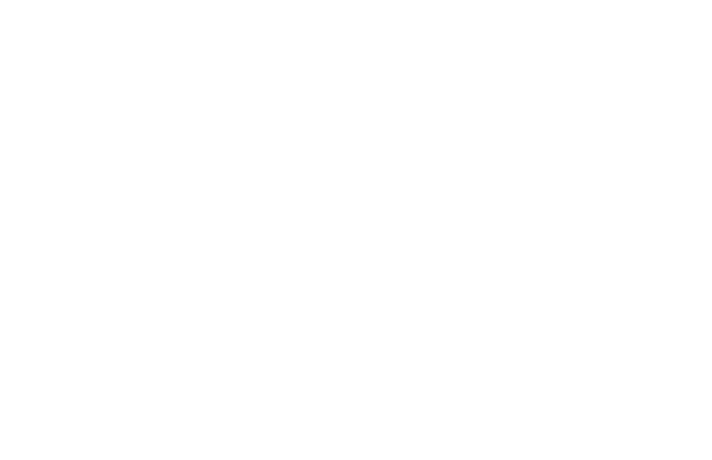 LAYER