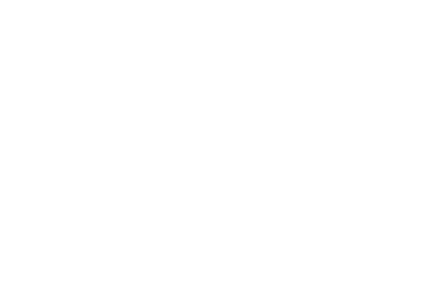 Boardies