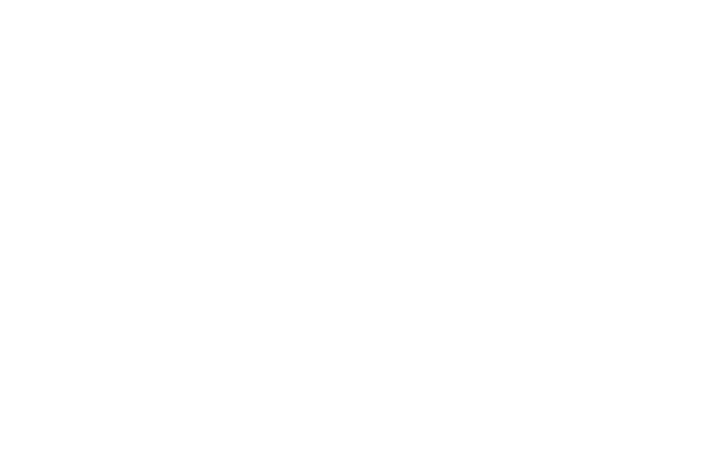 Palladium