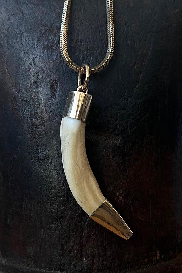 Beaver Tooth Necklace — Astali Jewelry