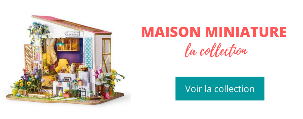 Collection maison miniature