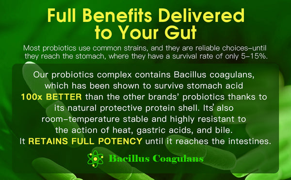 The benefits of probiotics for your gut