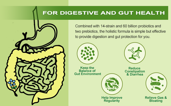 Probiotics for better digestion and gut health