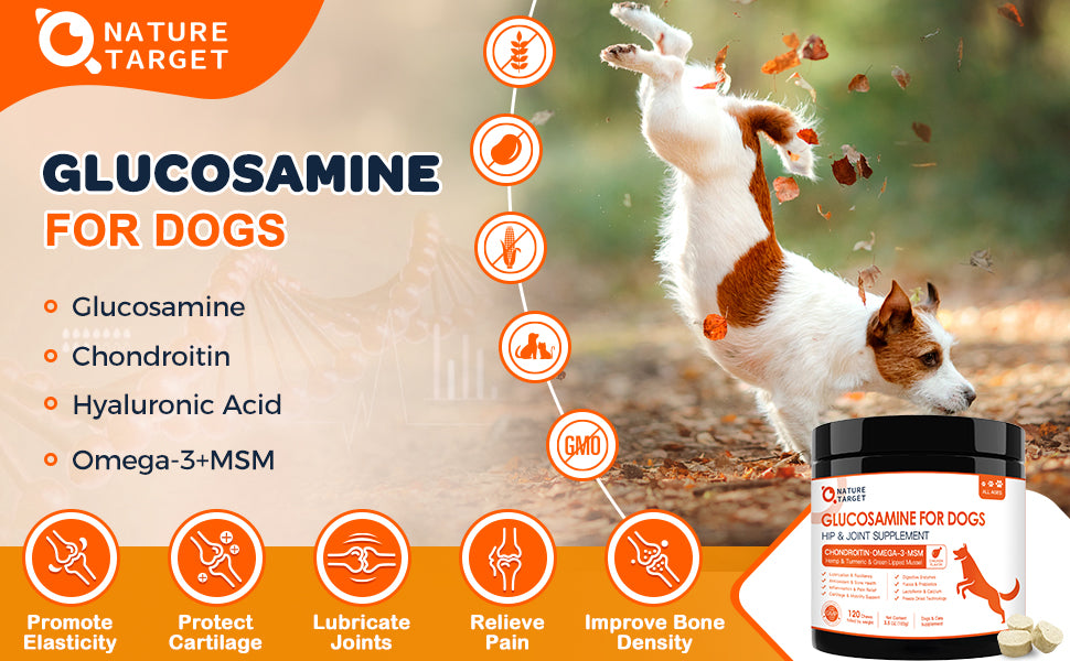 Glucosamine Chews for Pet Dog