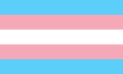 跨性別驕傲旗