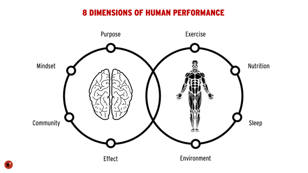 8 Dimensions of Human Performance