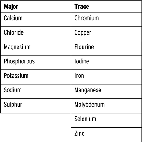 Major and Trace Minerals