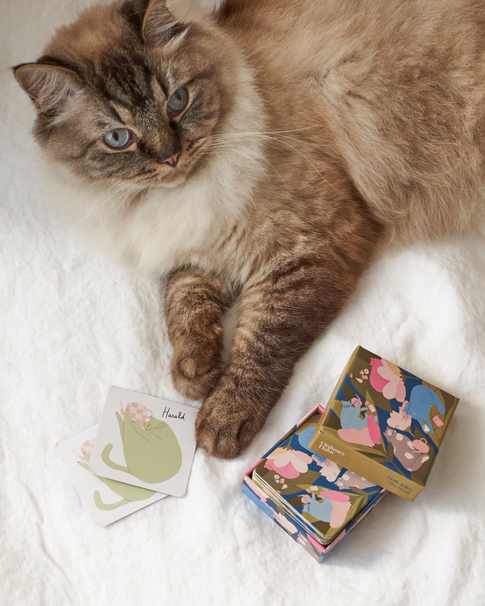 Feline Friends Matching Card Game