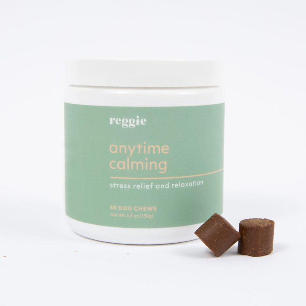 Anytime Calming Chews for Dogs — Anxiety & Stress Relief | Reggie