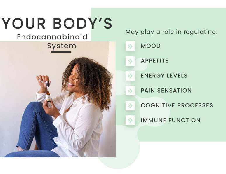 Role's of your body's endocannabinoid system 