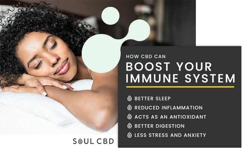 How CBD can boost your immune system