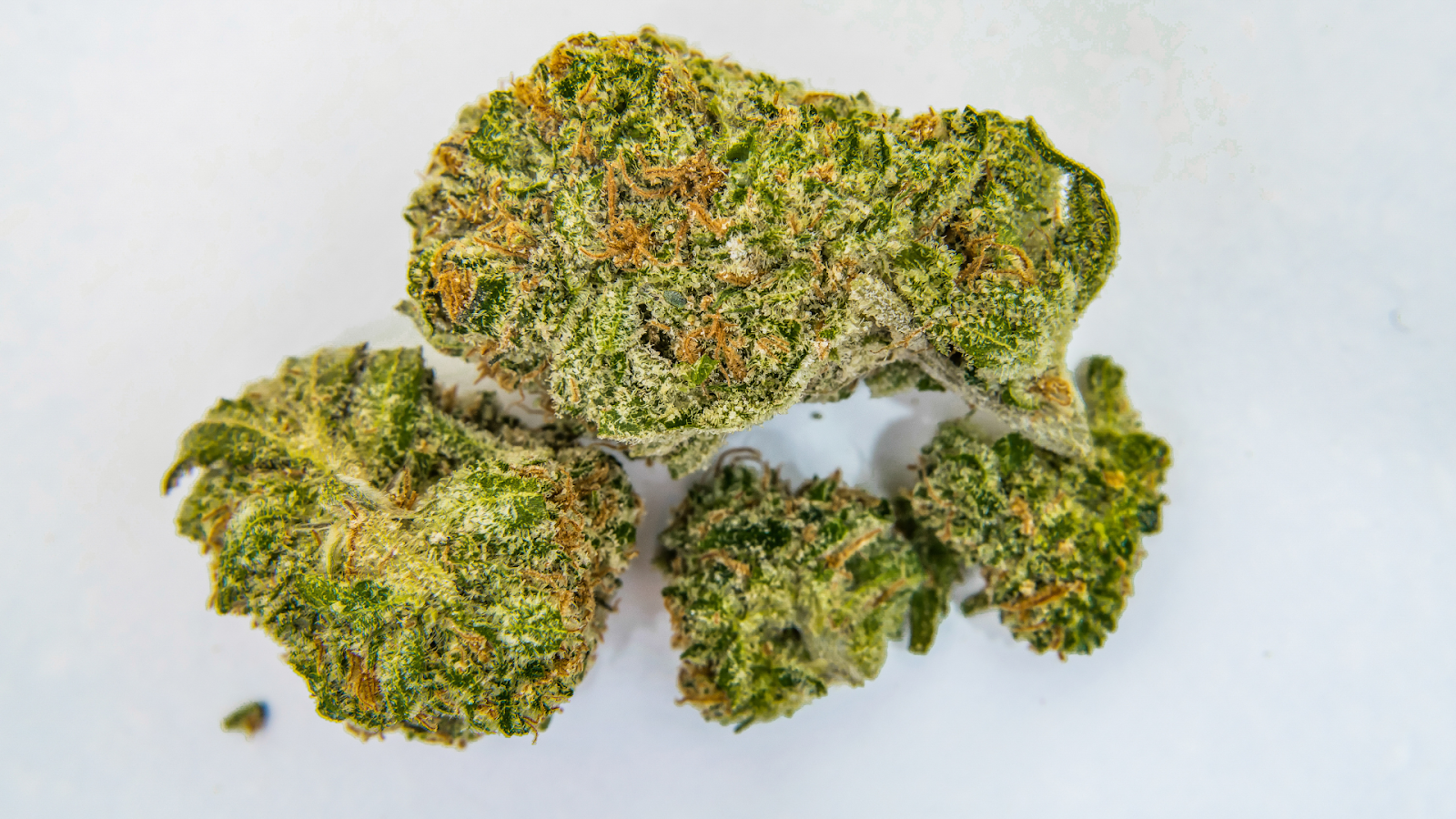 Cannabinoids in cannabis CBD THC elements