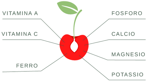 proprietà e nutrienti e Delizie della ciliegia Bigarreau di Puglia