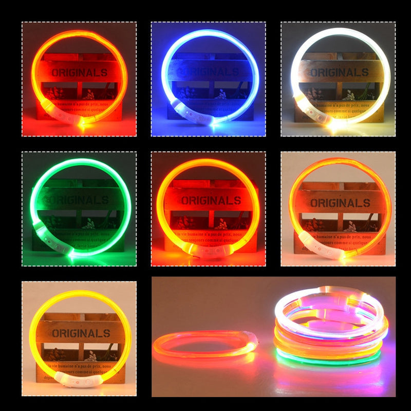 Glow in the Dark Tube Collar for dogs - Collar, LED, Neon, Rechargeable, Safety, USB