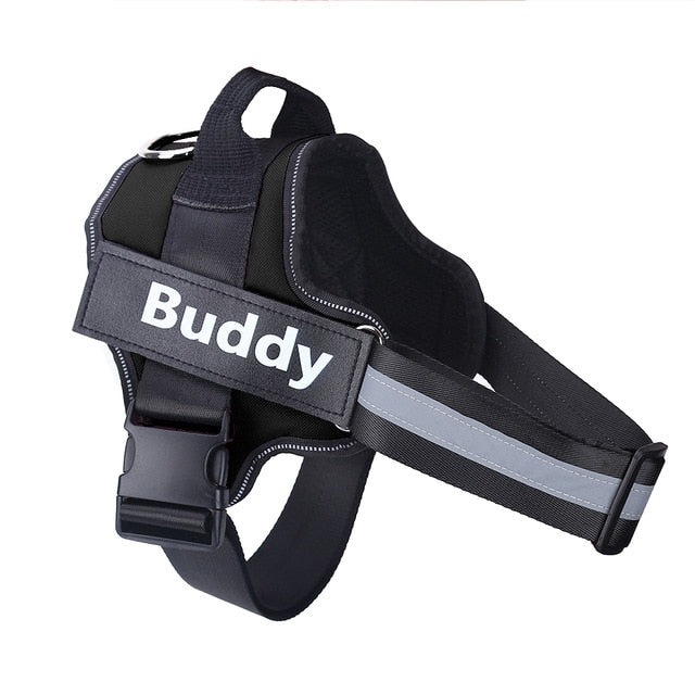 personalised dog harness amazon