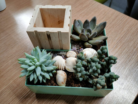 Organiser And Table Planter