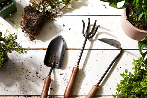 Essential Garden Tools