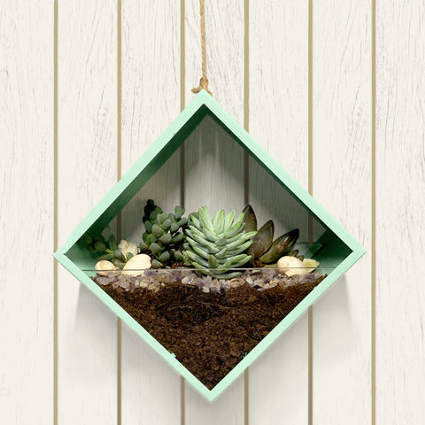 Hanging Planters gifting option