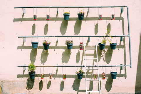 Ceiling Hanging Planters