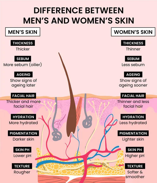 Difference in men and women's skin