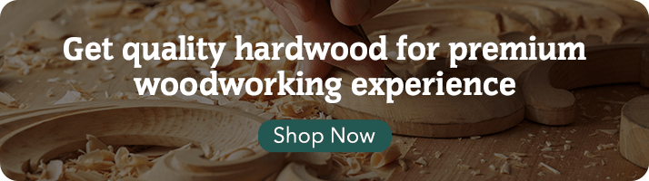 Woodworking 101 Guide: Everything You Need to Know about Epoxy Resin –  Forest 2 Home