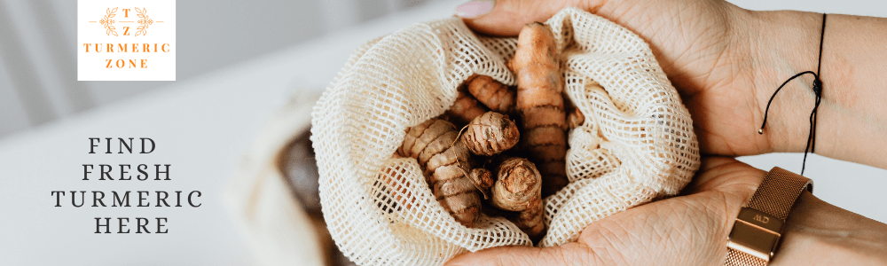 Fresh turmeric root - shop online