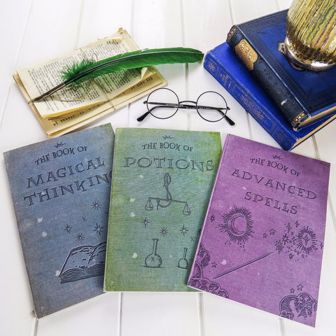 Magic Notebooks- For Young Wizards - Set of Three