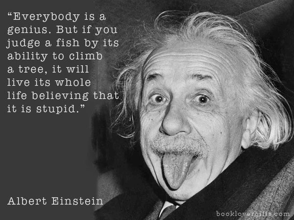 Einstein genius quotation