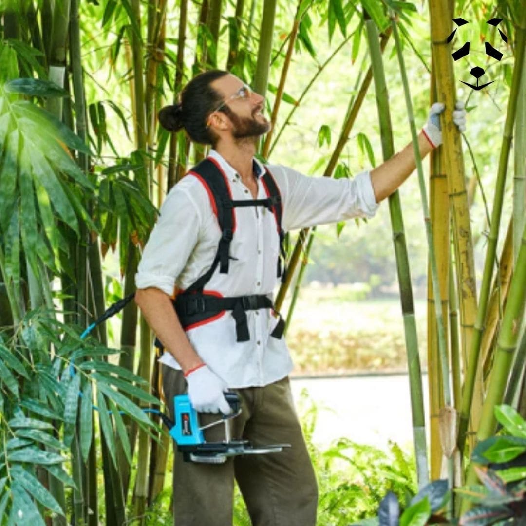 S cateur Electrique pour Couper le Bambou  Outil d 
