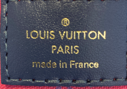 Louis Vuitton Papillon Handbag Spring in the City Monogram Giant Canvas BB  Multicolor 2253101