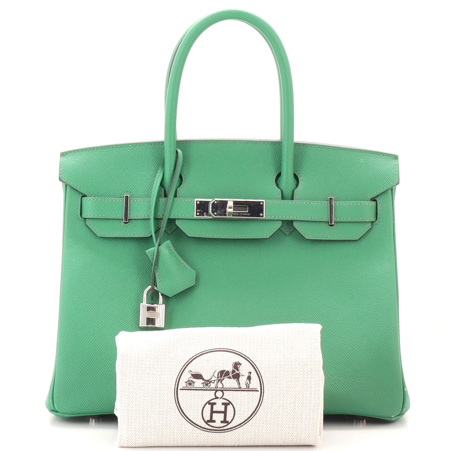 Hermes Birkin 25 Bag in Cactus Swift Leather with Gold Hardware