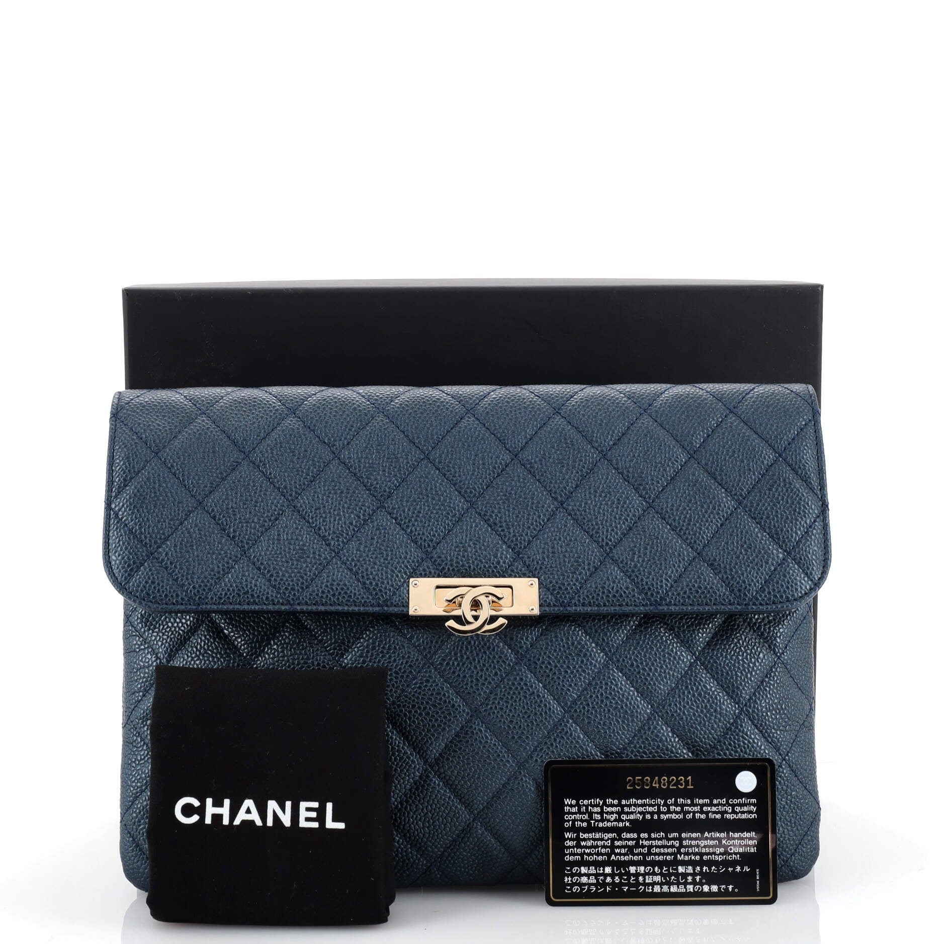 Chanel Metallic Blue CC Classic Zip Flat Pouch – The Closet