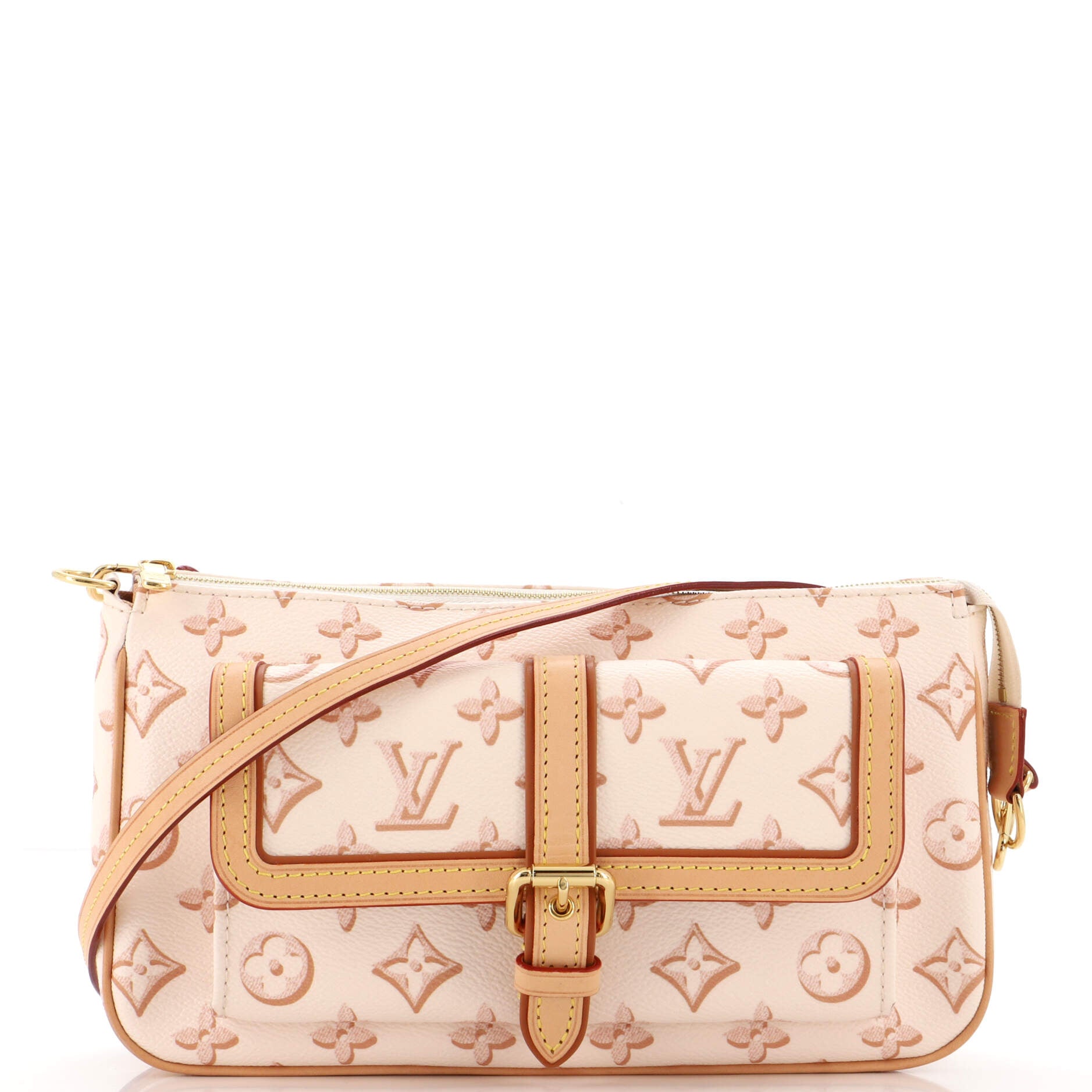 Louis Vuitton Maxi Multi Pochette Accessories Bag