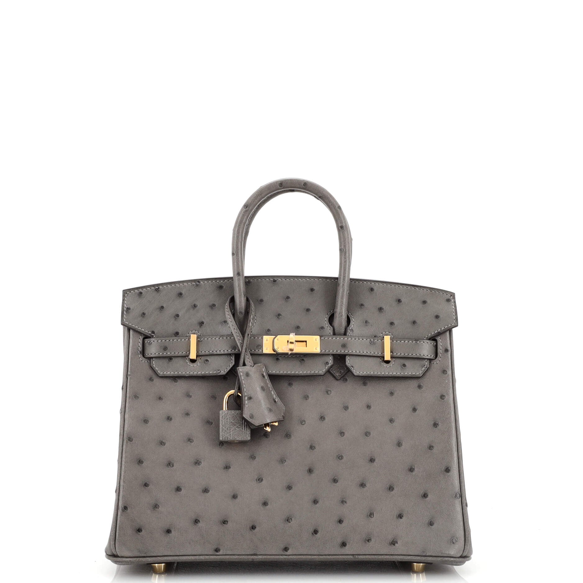 Hermes Kelly Handbag Grey Ostrich with Gold Hardware 25